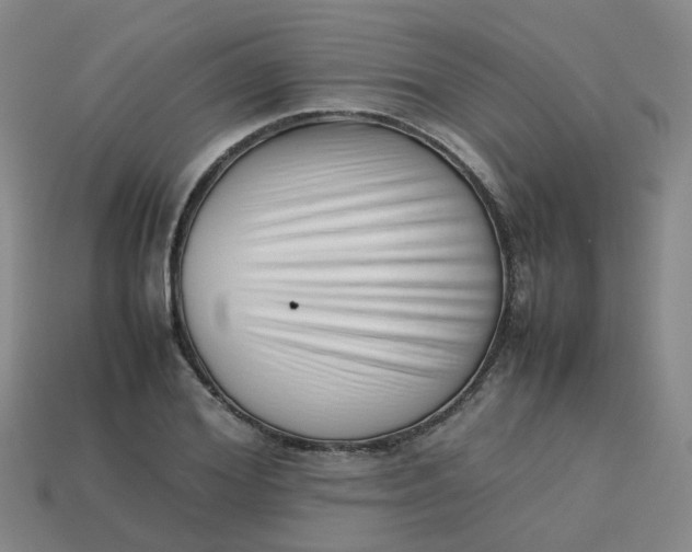 X0000113760980200910141044