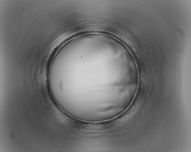 X0000113760981200910141044