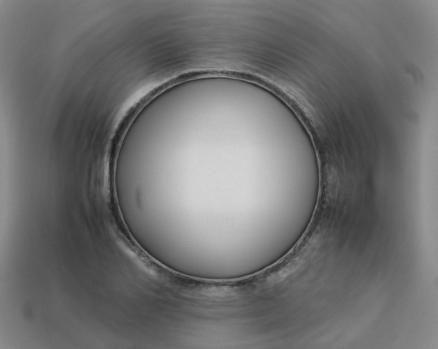 X0000113760982200910141044