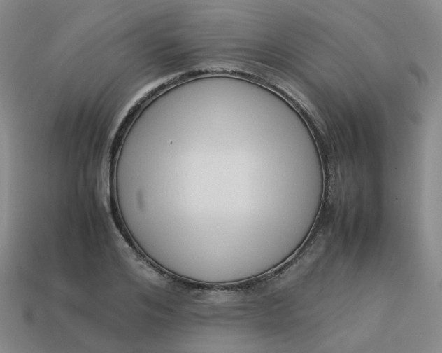 X0000113760984200910141044