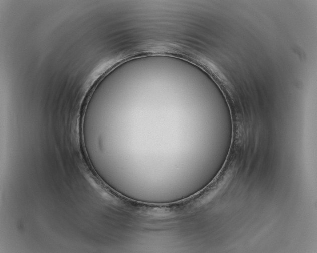 X0000113760986200910141044