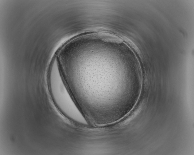 X0000113760989200910141044