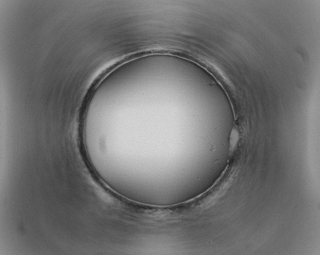 X0000113760991200910141044