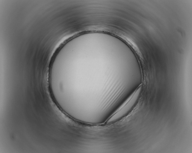 X0000113760992200910141044