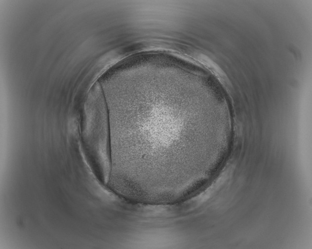 X0000113760993200910141044