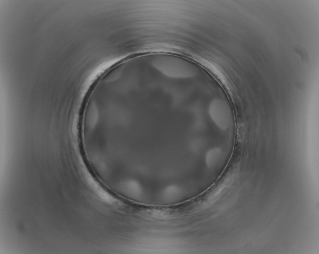 X0000113760995200910141044