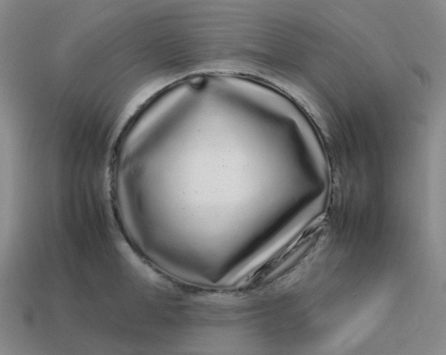 X0000113760998200910141044