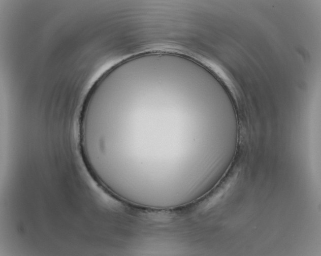 X0000113760999200910141044