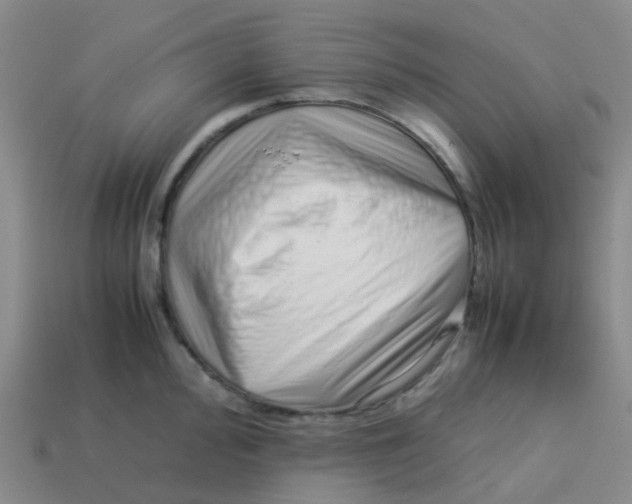 X0000113761000200910141044