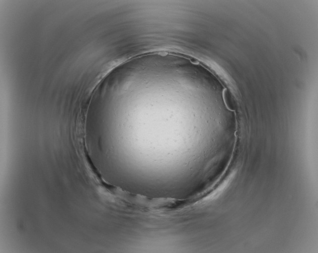 X0000113761001200910141044