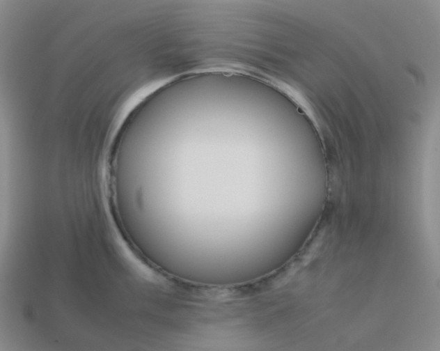 X0000113761003200910141044