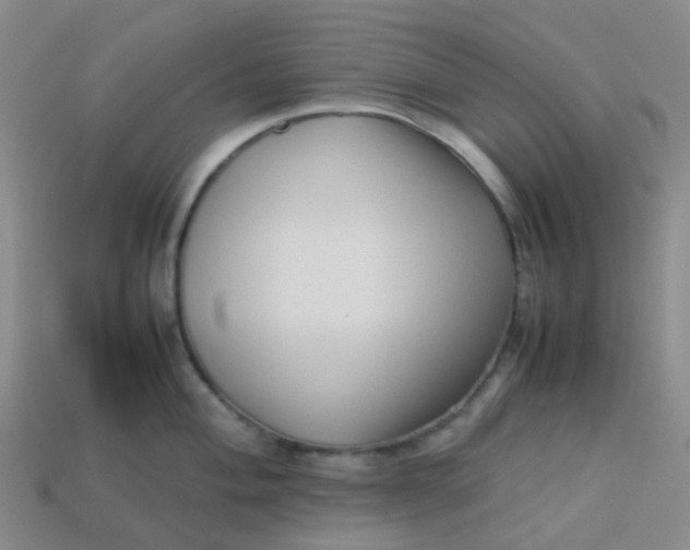 X0000113761004200910141044