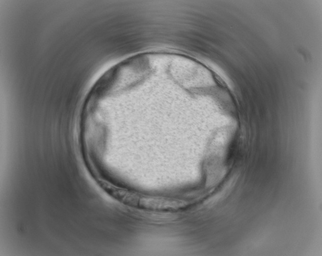 X0000113761007200910141044