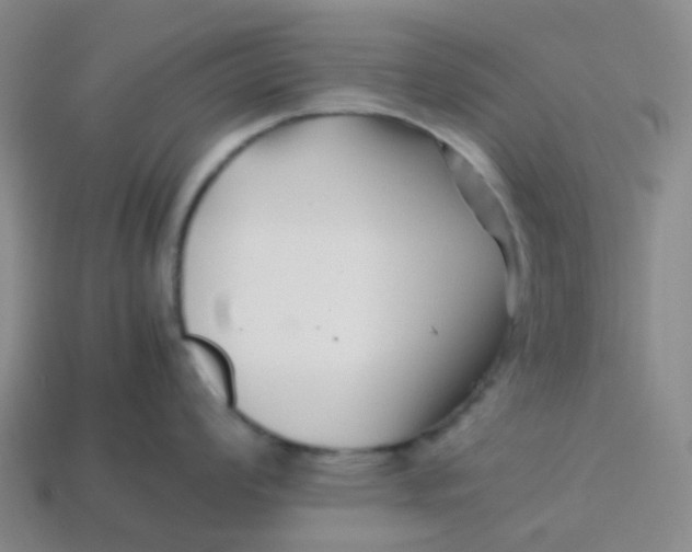 X0000113761008200910141044