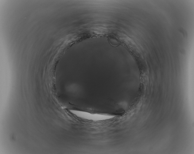 X0000113761009200910141043