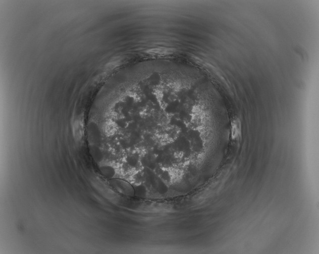 X0000113761011200910141043