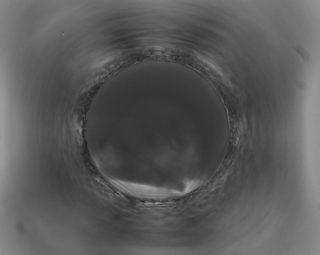 X0000113761013200910141043