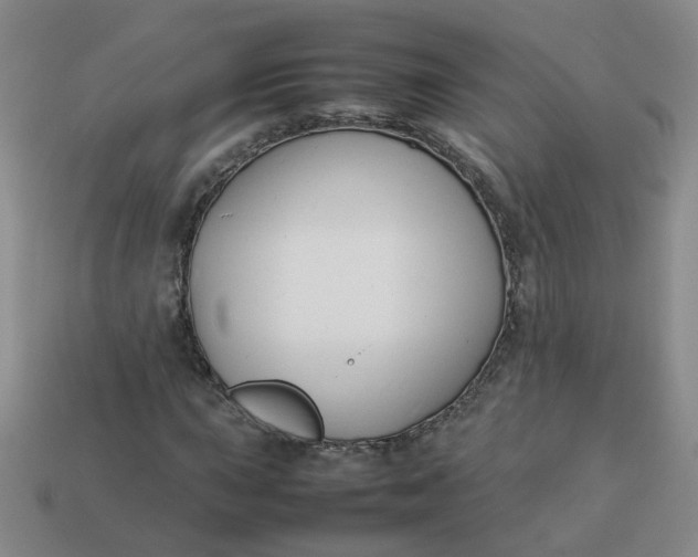 X0000113761015200910141043