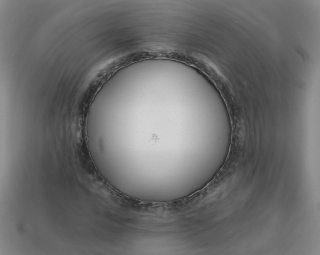 X0000113761016200910141043