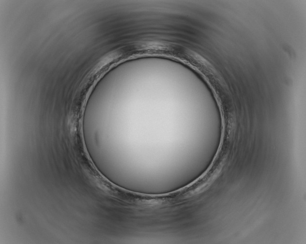 X0000113761017200910141043