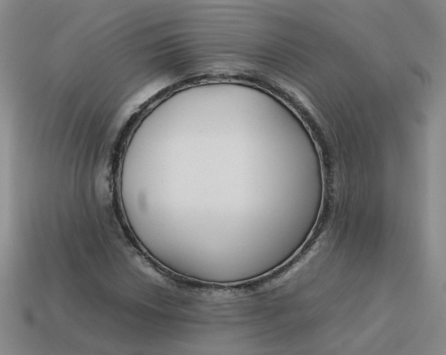X0000113761018200910141043