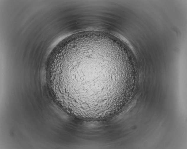 X0000113761019200910141043