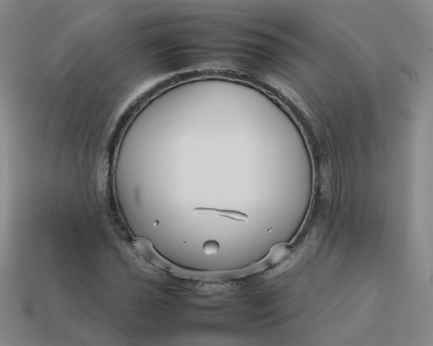 X0000113761021200910141043