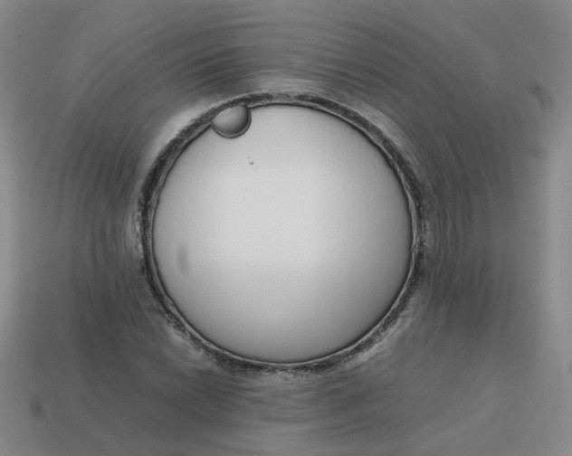 X0000113761022200910141043