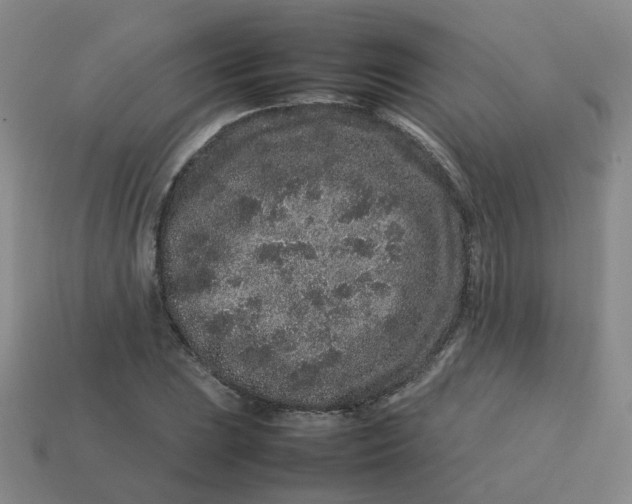 X0000113761023200910141043