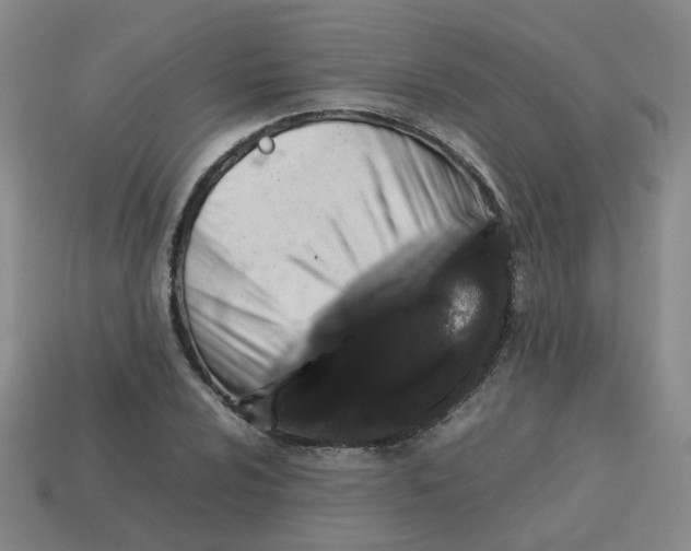 X0000113761024200910141043