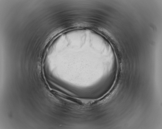 X0000113761025200910141043