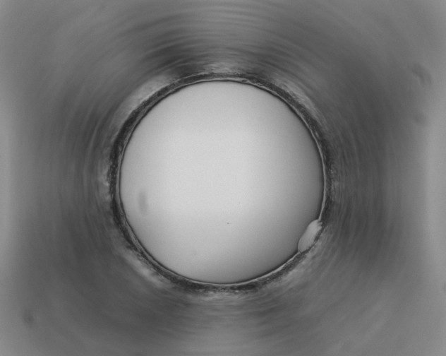 X0000113761026200910141044