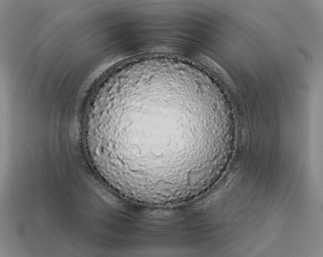 X0000113761027200910141044