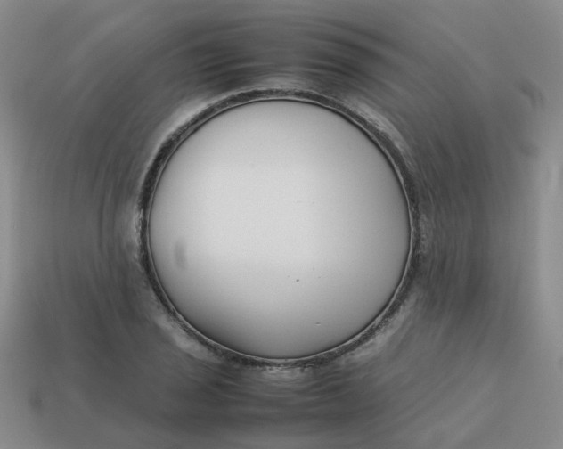 X0000113761029200910141044