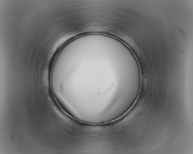 X0000113761030200910141044