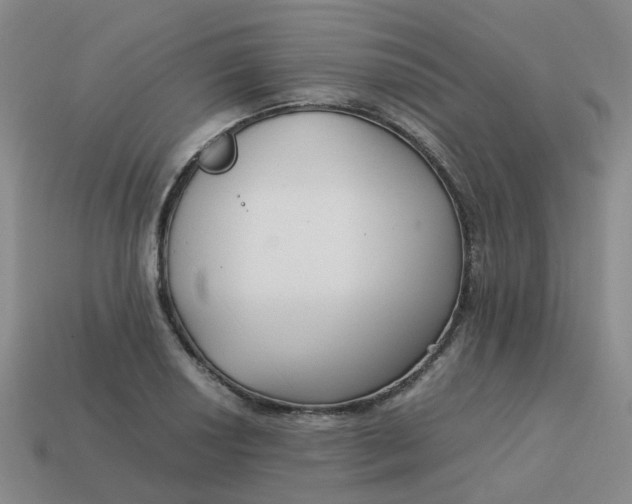 X0000113761034200910141044