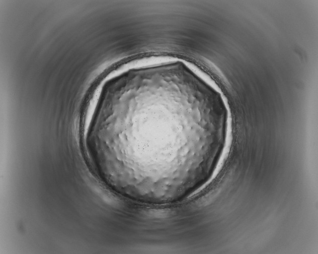 X0000113761035200910141044