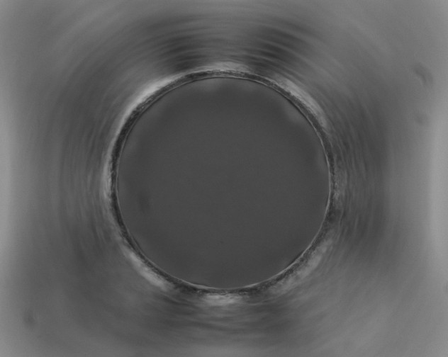 X0000113761037200910141044
