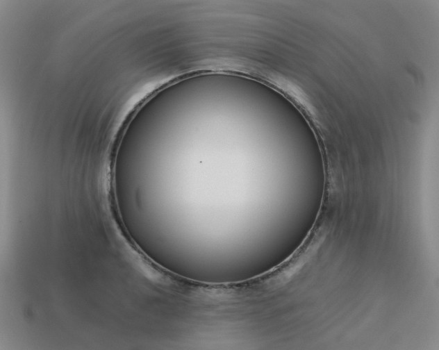 X0000113761040200910141044