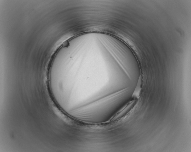 X0000113761042200910141044