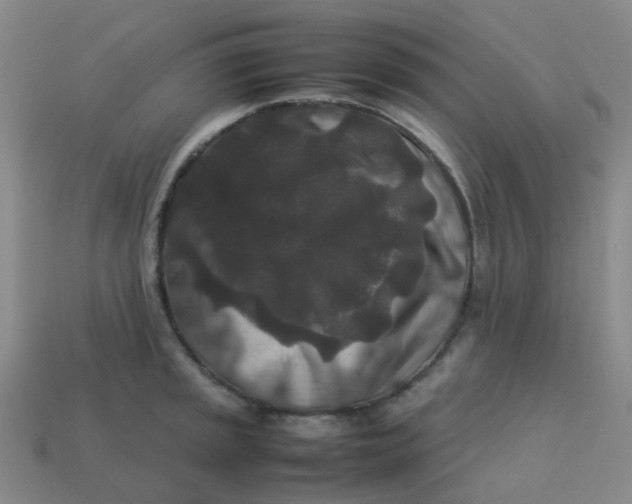 X0000113761045200910141044
