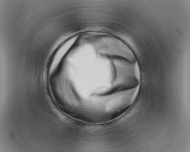 X0000113761046200910141044