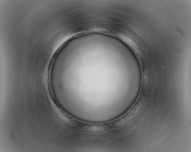 X0000113761047200910141044