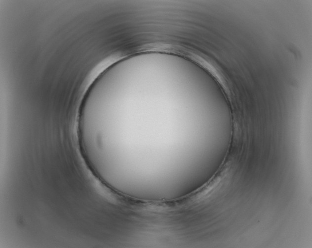 X0000113761050200910141044