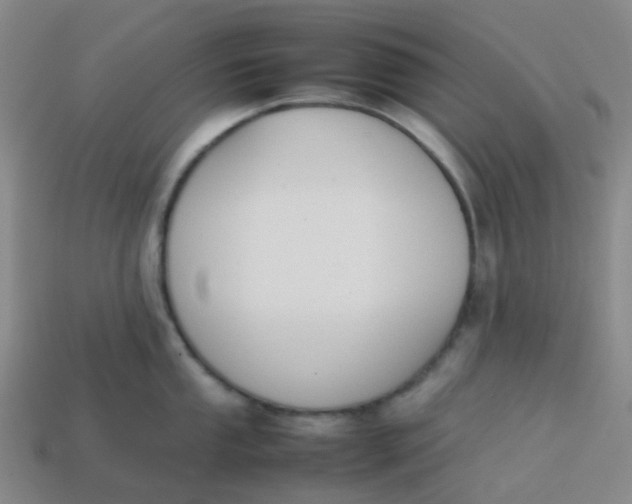 X0000113761053200910141044