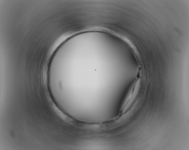 X0000113761054200910141044