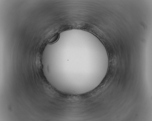 X0000113761058200910141043