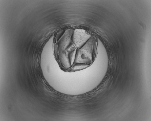 X0000113761060200910141043