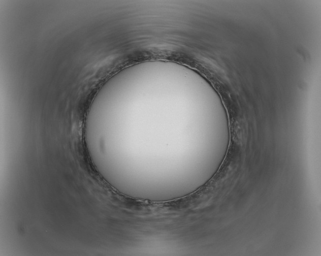X0000113761061200910141043