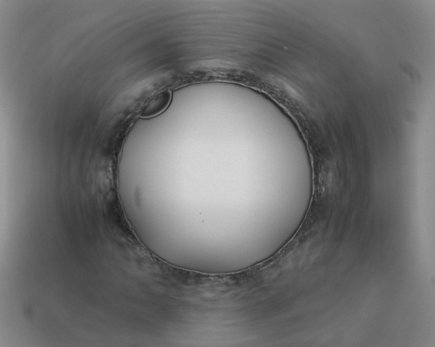 X0000113761062200910141043